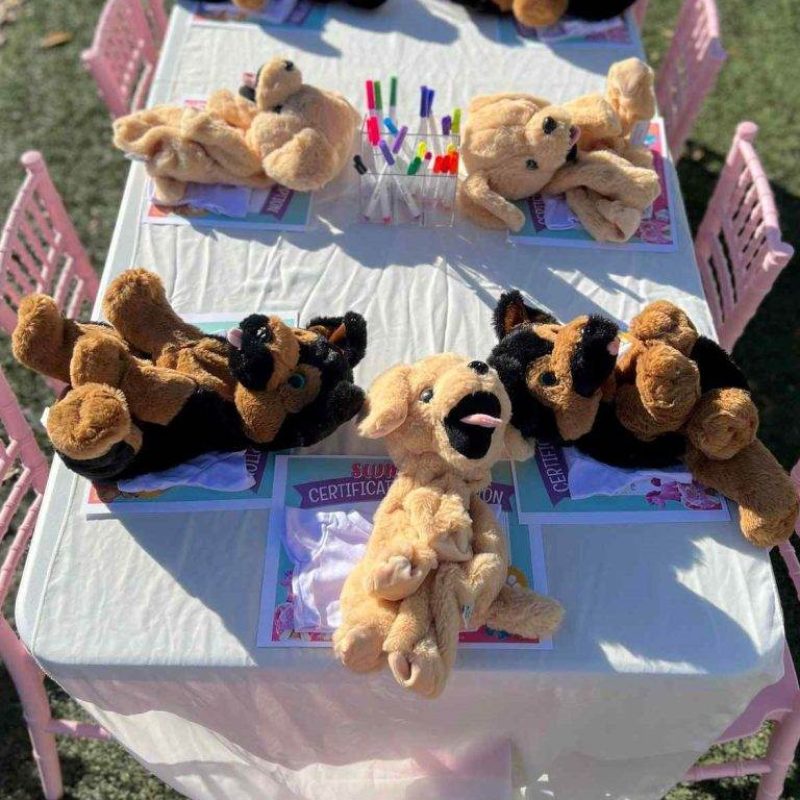 A table with teddy bears on it, available for party rental in Texas.